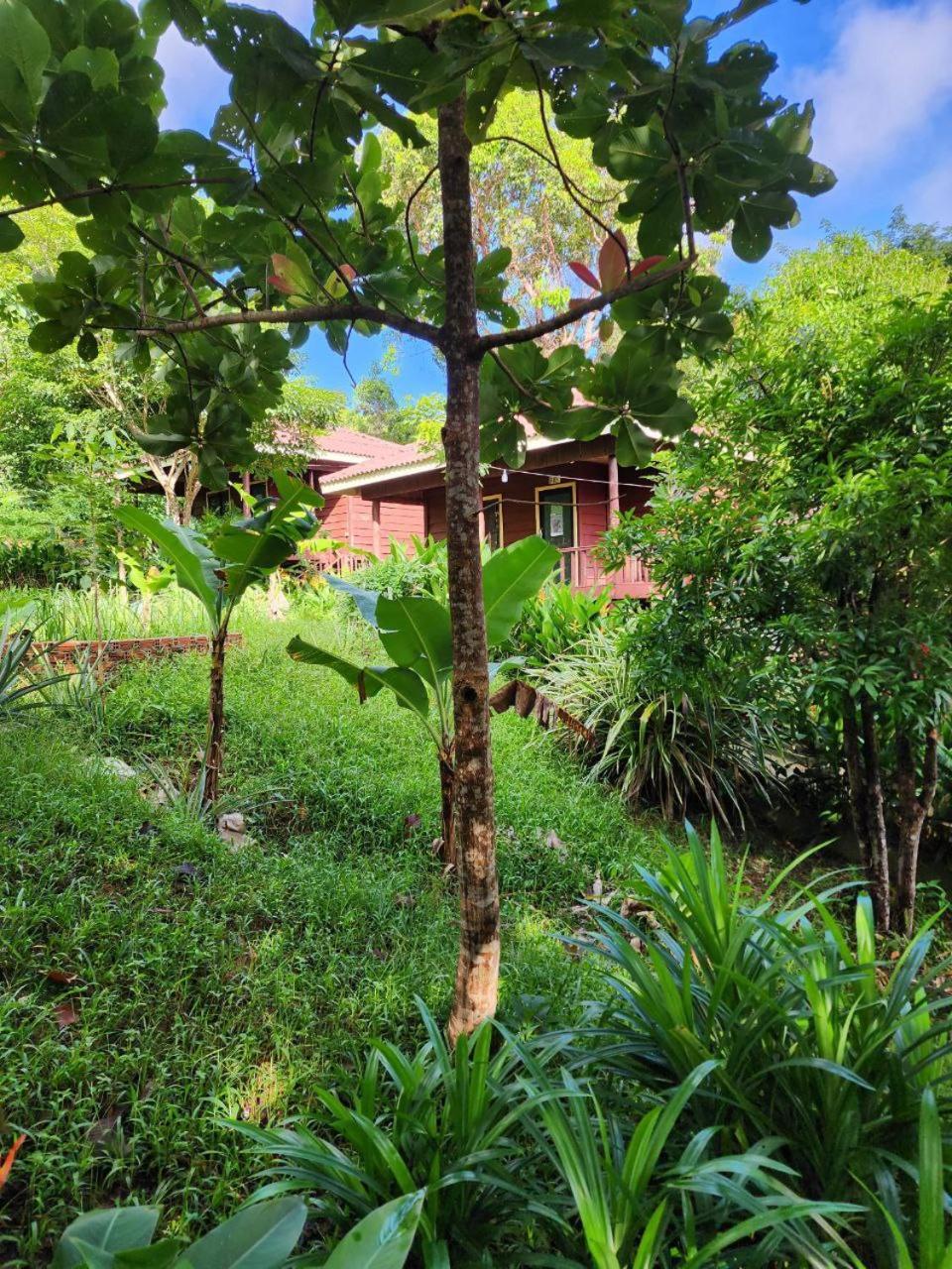 Sweet Jungle Bungalows Kaoh Touch Exterior foto